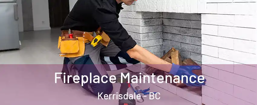 Fireplace Maintenance Kerrisdale - BC