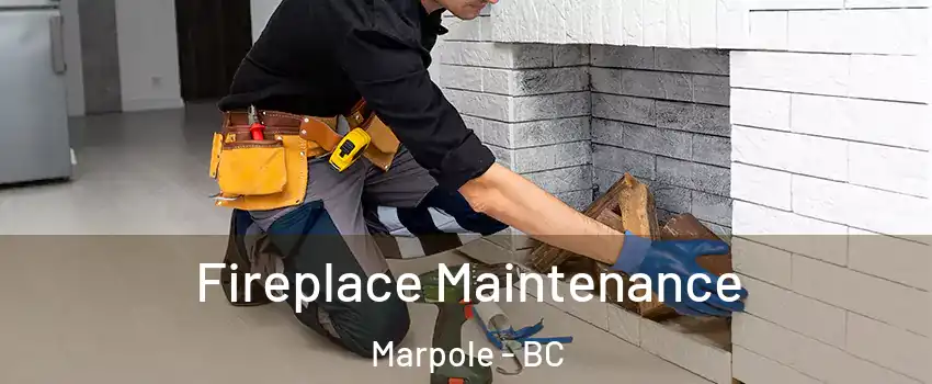  Fireplace Maintenance Marpole - BC