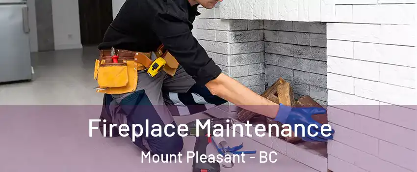  Fireplace Maintenance Mount Pleasant - BC