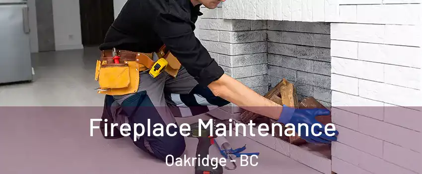  Fireplace Maintenance Oakridge - BC