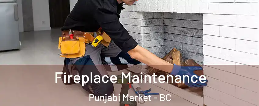  Fireplace Maintenance Punjabi Market - BC
