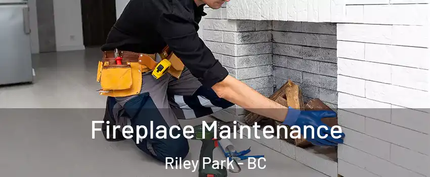  Fireplace Maintenance Riley Park - BC