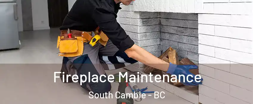  Fireplace Maintenance South Cambie - BC
