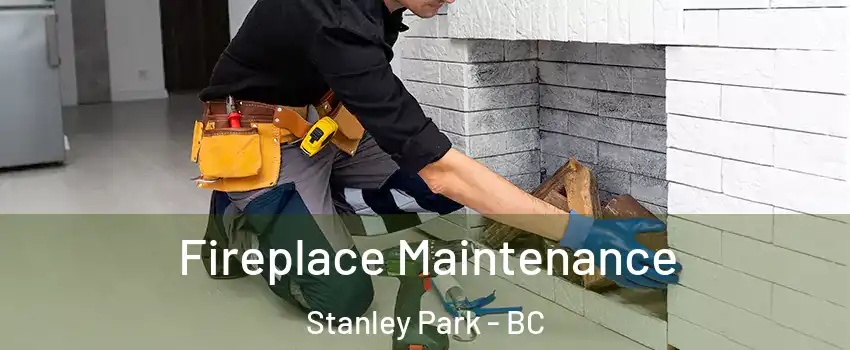  Fireplace Maintenance Stanley Park - BC