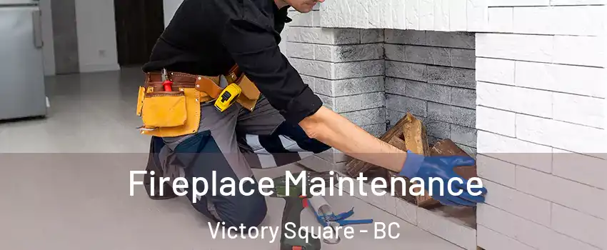  Fireplace Maintenance Victory Square - BC
