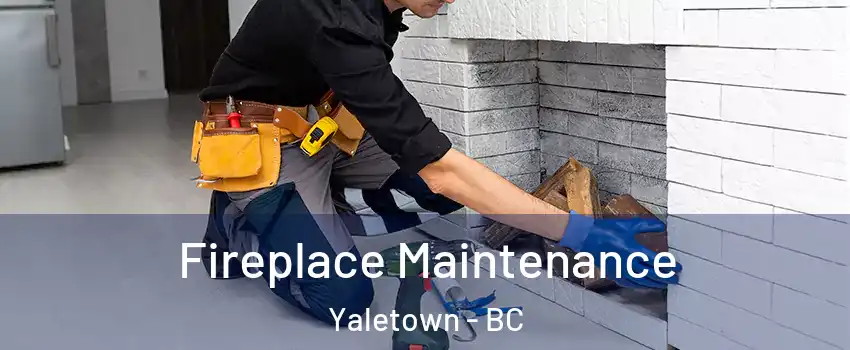  Fireplace Maintenance Yaletown - BC