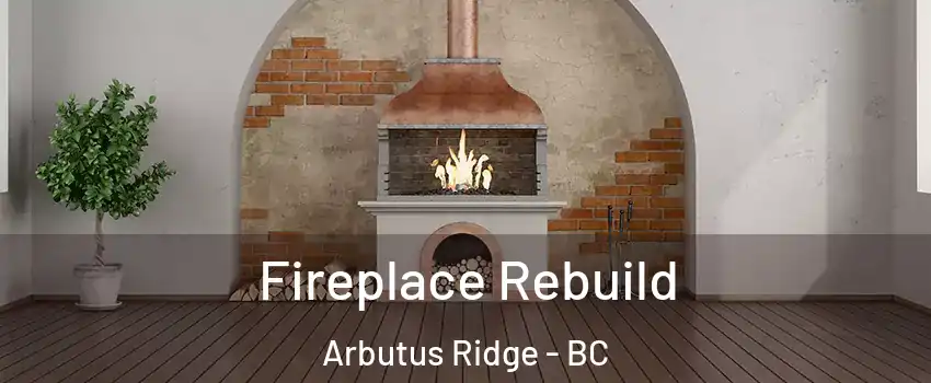  Fireplace Rebuild Arbutus Ridge - BC