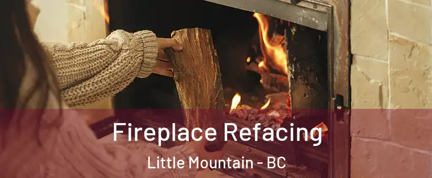  Fireplace Refacing Little Mountain - BC