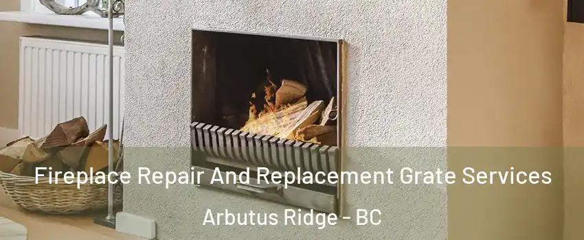  Fireplace Repair And Replacement Grate Services Arbutus Ridge - BC