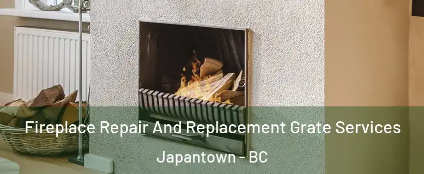  Fireplace Repair And Replacement Grate Services Japantown - BC