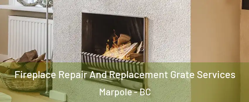  Fireplace Repair And Replacement Grate Services Marpole - BC