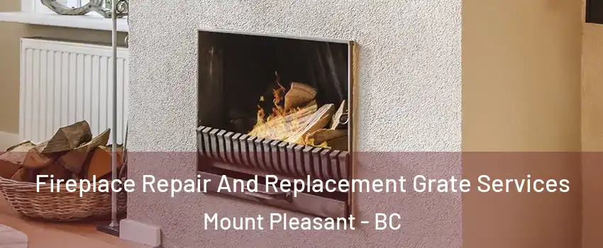  Fireplace Repair And Replacement Grate Services Mount Pleasant - BC