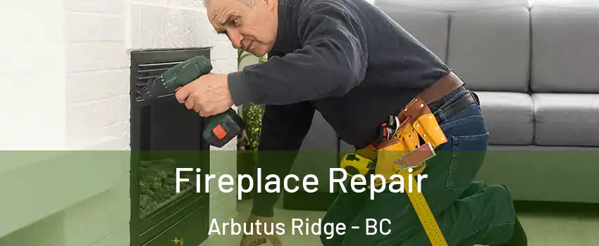  Fireplace Repair Arbutus Ridge - BC
