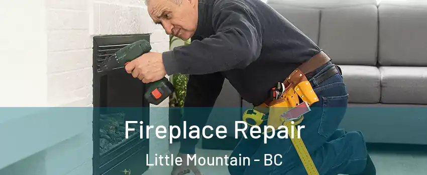  Fireplace Repair Little Mountain - BC