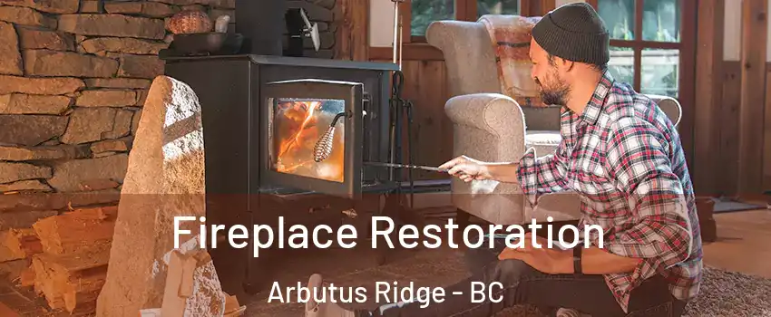  Fireplace Restoration Arbutus Ridge - BC