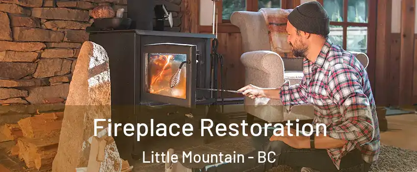  Fireplace Restoration Little Mountain - BC