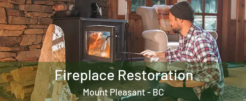  Fireplace Restoration Mount Pleasant - BC