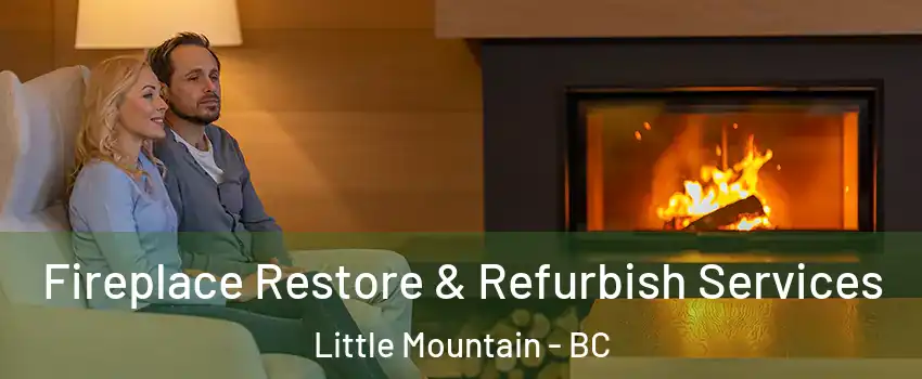  Fireplace Restore & Refurbish Services Little Mountain - BC