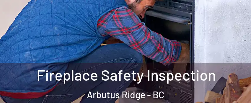  Fireplace Safety Inspection Arbutus Ridge - BC