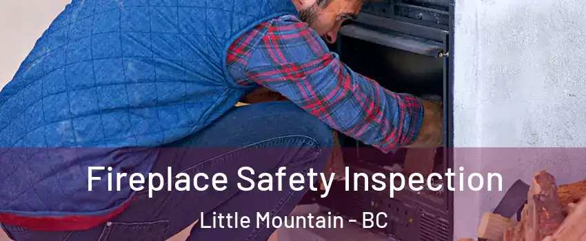 Fireplace Safety Inspection Little Mountain - BC