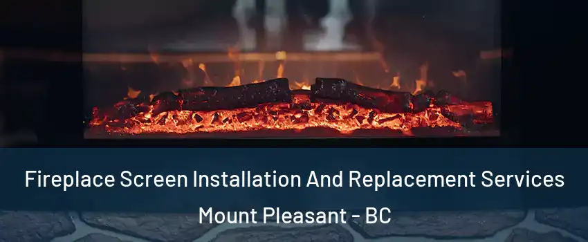  Fireplace Screen Installation And Replacement Services Mount Pleasant - BC