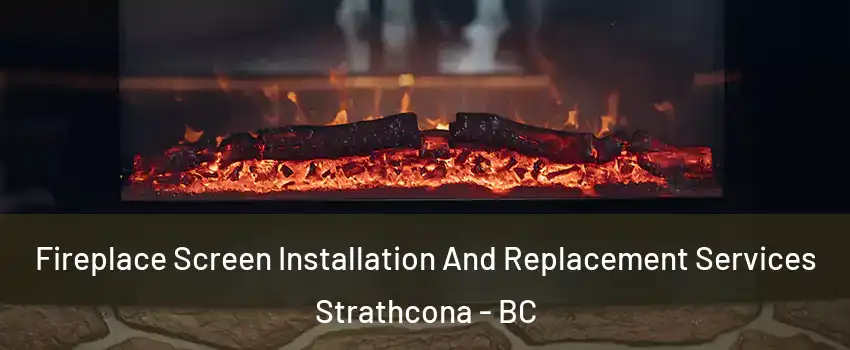  Fireplace Screen Installation And Replacement Services Strathcona - BC