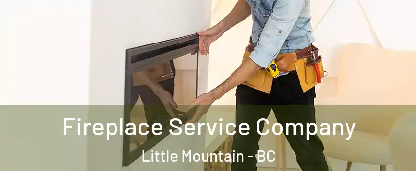 Fireplace Service Company Little Mountain - BC