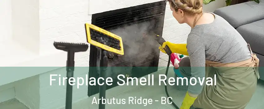  Fireplace Smell Removal Arbutus Ridge - BC