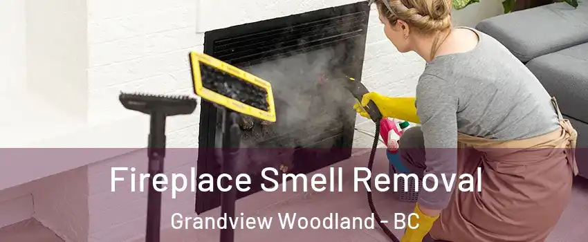  Fireplace Smell Removal Grandview Woodland - BC
