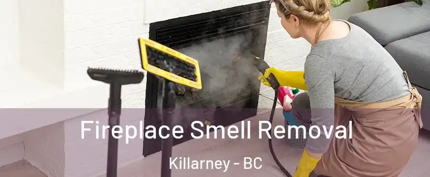  Fireplace Smell Removal Killarney - BC