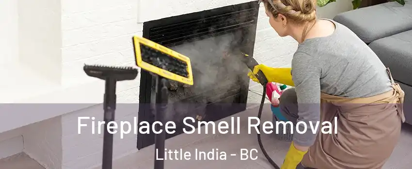  Fireplace Smell Removal Little India - BC