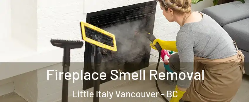  Fireplace Smell Removal Little Italy Vancouver - BC