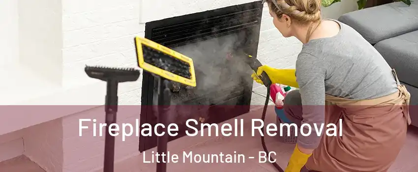  Fireplace Smell Removal Little Mountain - BC