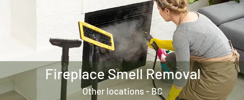  Fireplace Smell Removal Other locations - BC