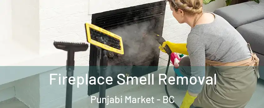  Fireplace Smell Removal Punjabi Market - BC