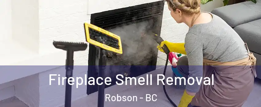  Fireplace Smell Removal Robson - BC