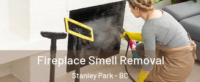  Fireplace Smell Removal Stanley Park - BC