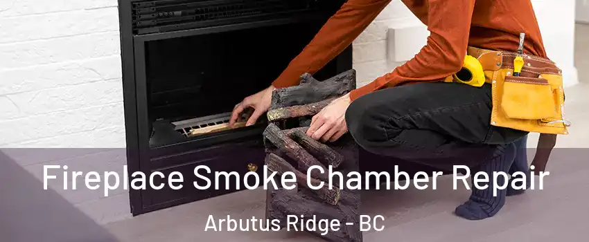  Fireplace Smoke Chamber Repair Arbutus Ridge - BC