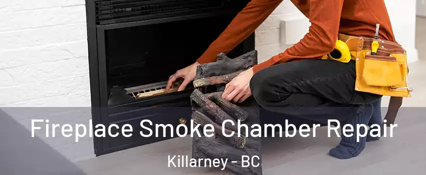  Fireplace Smoke Chamber Repair Killarney - BC