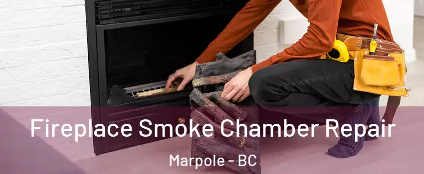  Fireplace Smoke Chamber Repair Marpole - BC