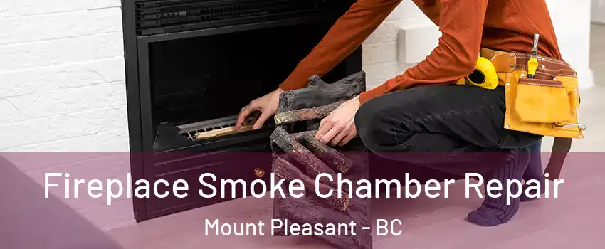  Fireplace Smoke Chamber Repair Mount Pleasant - BC
