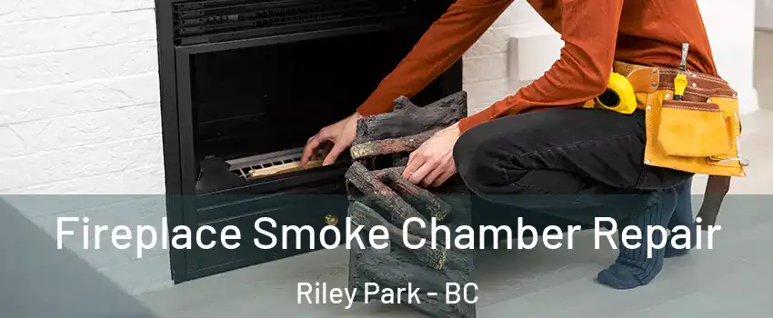  Fireplace Smoke Chamber Repair Riley Park - BC