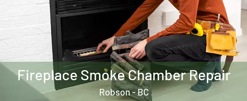  Fireplace Smoke Chamber Repair Robson - BC