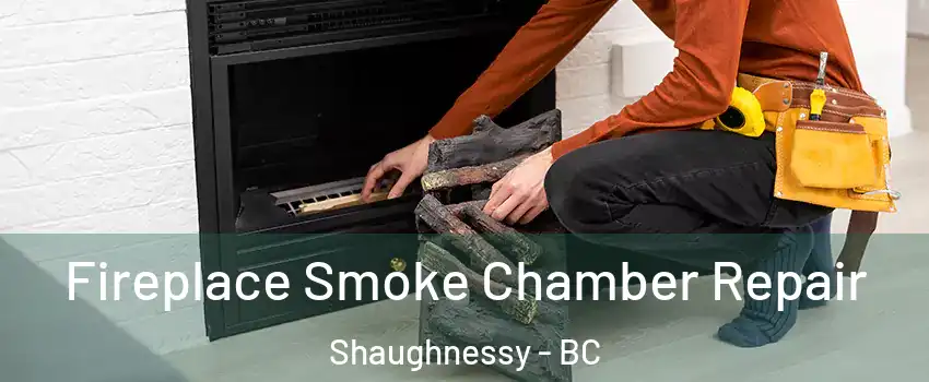 Fireplace Smoke Chamber Repair Shaughnessy - BC