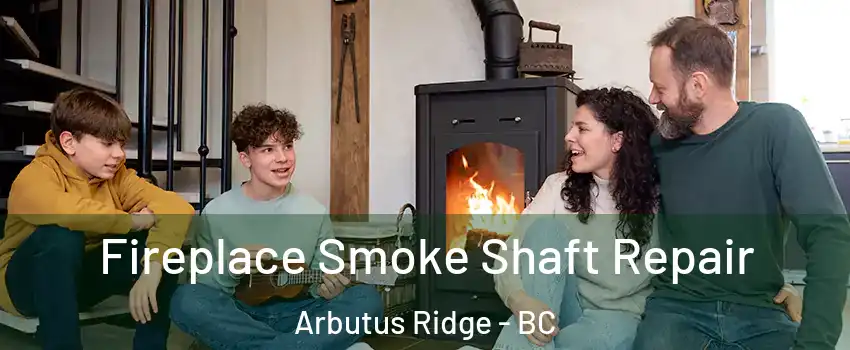  Fireplace Smoke Shaft Repair Arbutus Ridge - BC