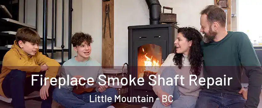  Fireplace Smoke Shaft Repair Little Mountain - BC
