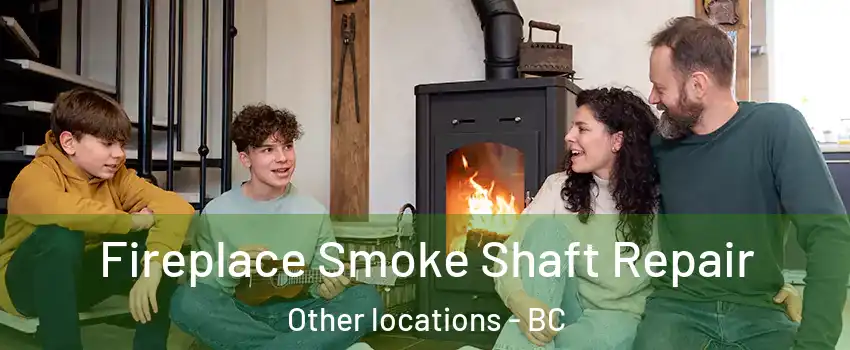  Fireplace Smoke Shaft Repair Other locations - BC