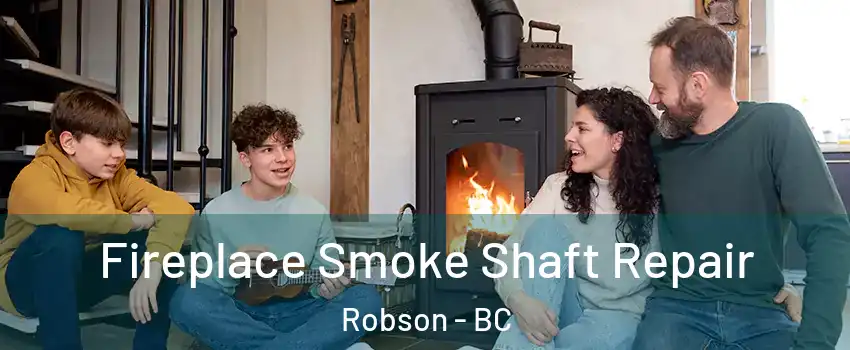  Fireplace Smoke Shaft Repair Robson - BC