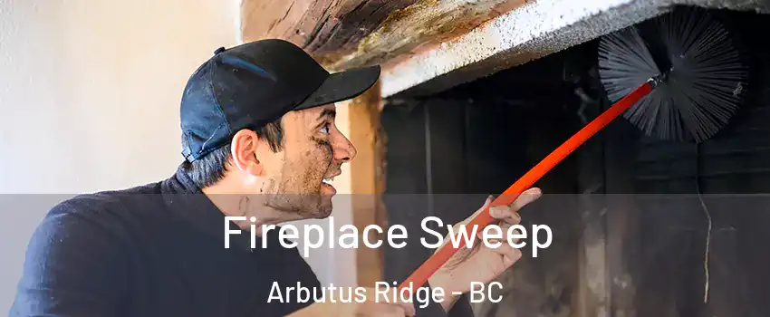  Fireplace Sweep Arbutus Ridge - BC