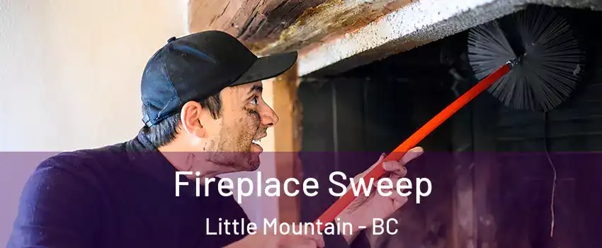  Fireplace Sweep Little Mountain - BC